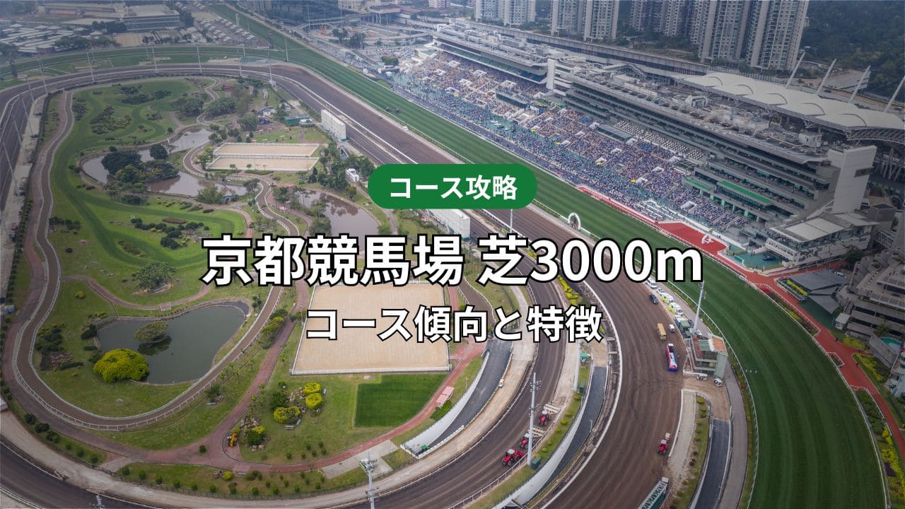 京都芝3000mのコース傾向と特徴｜重賞データで読み解くタイム・ラップ